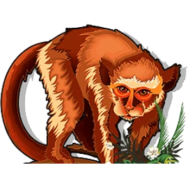 Monkey symbol in Genghis Khan pokie